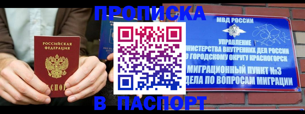 где прописаться в Пионерском
